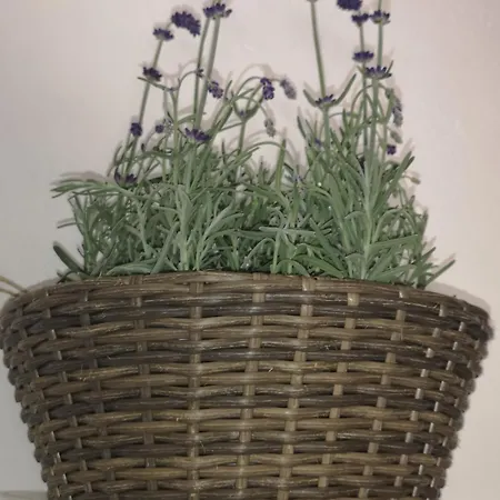 Apartamento Bili *
